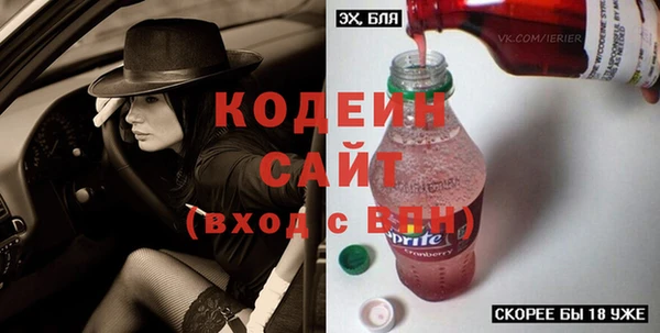 индика Абинск