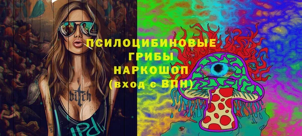 индика Абинск