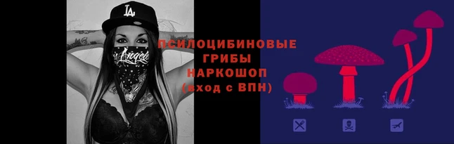 герыч Алексин