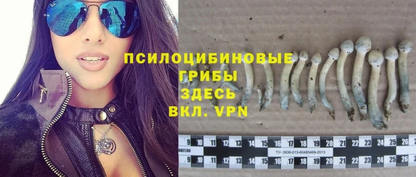 марихуана Абаза