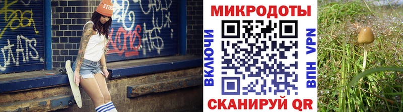 Псилоцибиновые грибы GOLDEN TEACHER  закладка  Берёзовка 